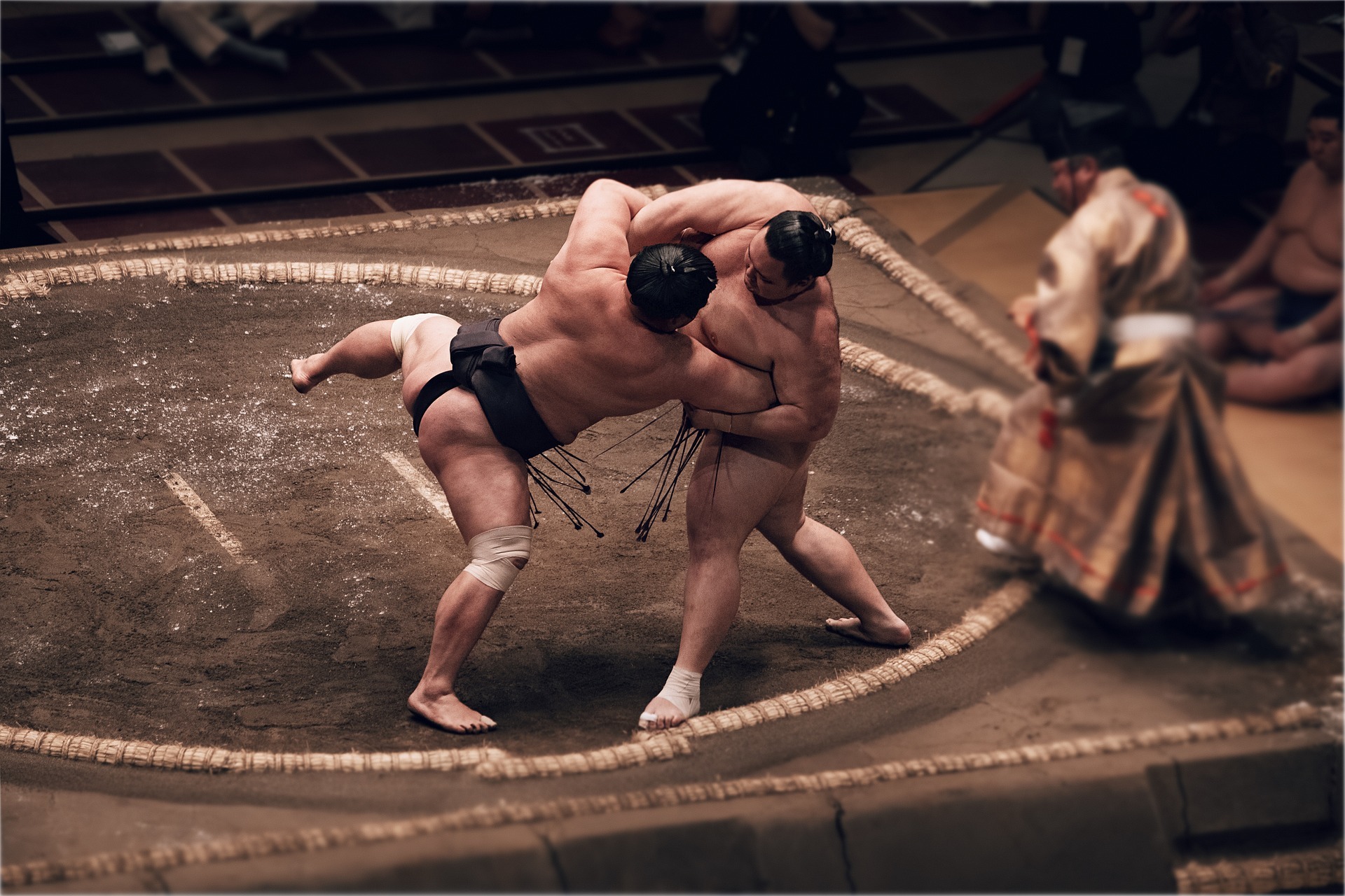 Sumo japonais sumo 5 - Issho Ni Blog